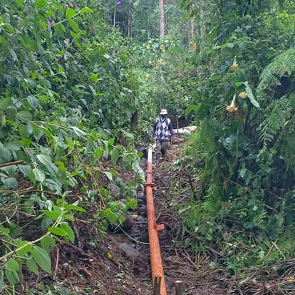 Delivery pipe through forest